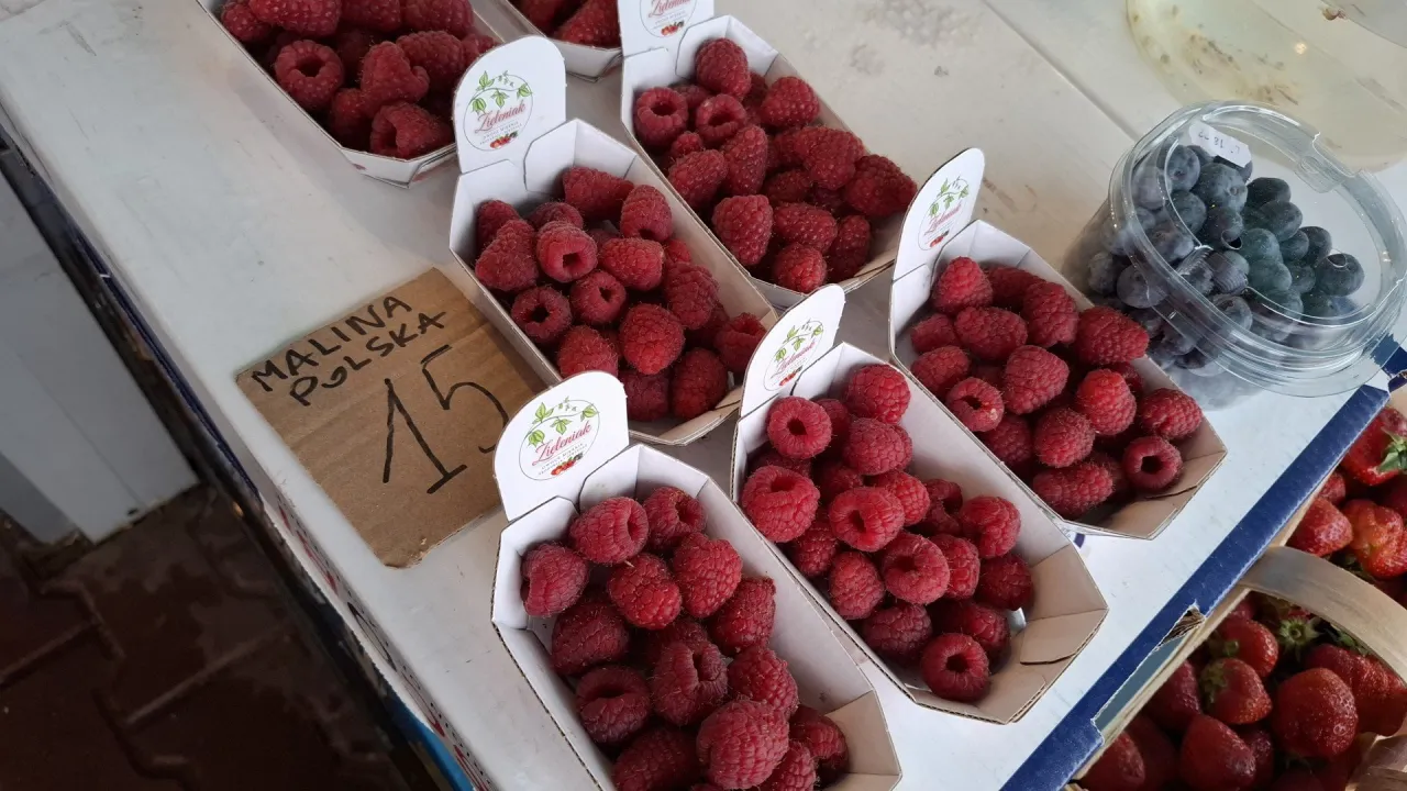 Maliny polskie sezon zbiory