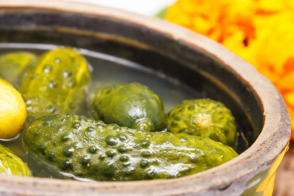 ogórki kiszone wpływ na wątrobę