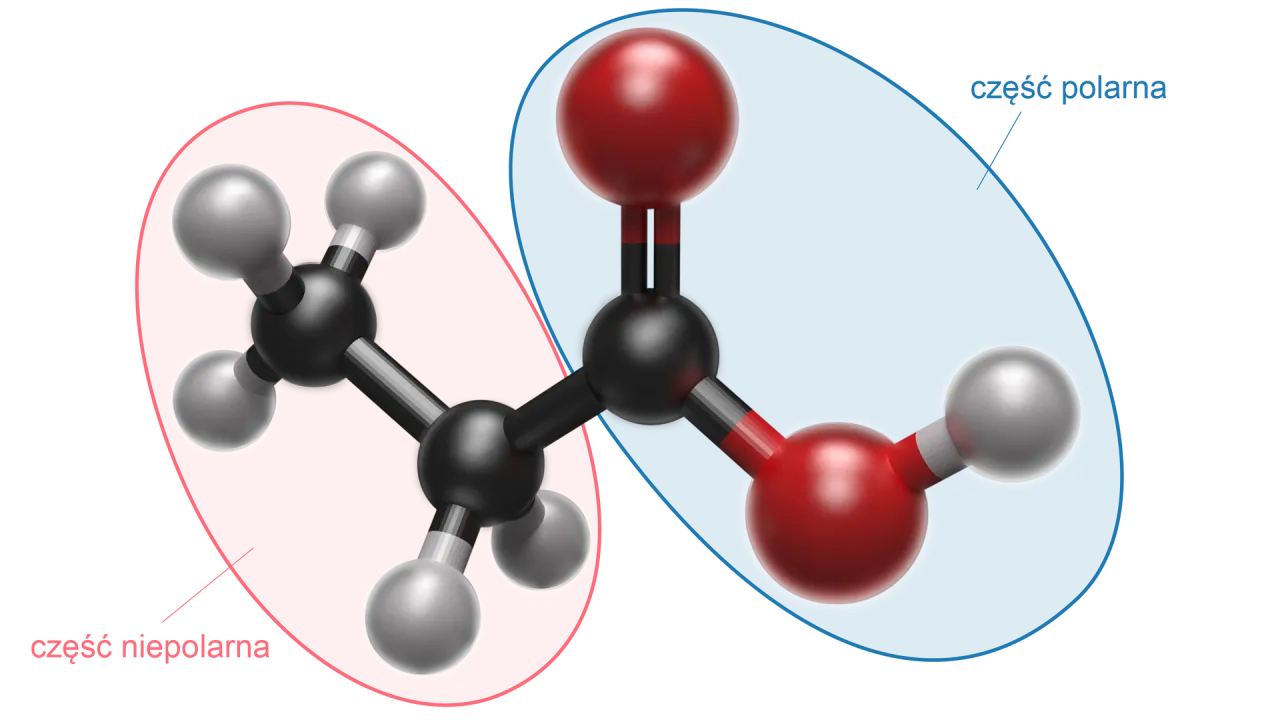 Kwas dichlorooctowy struktura chemiczna