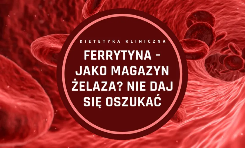 ferrytyna magazyn żelaza