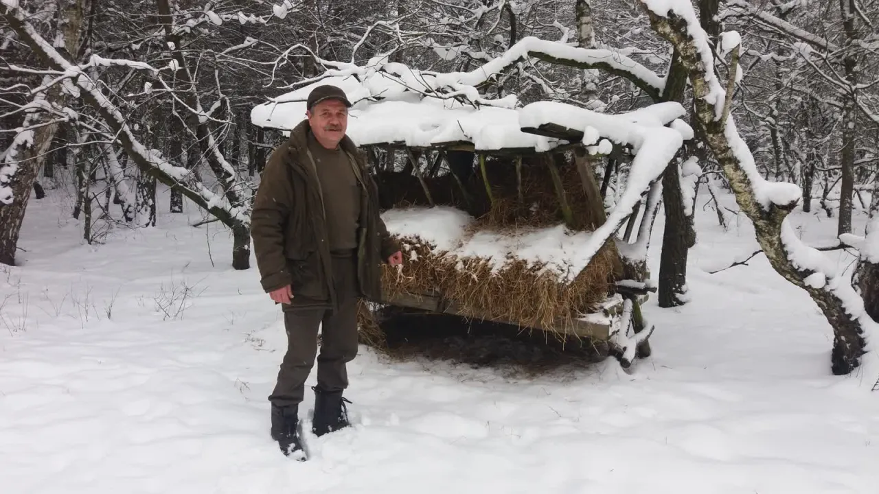 Mężczyzna w zimowym lesie przy paśniku dla zwierząt. Tak właśnie co myśliwi robią w lesie zimą – dbają o zwierzynę.