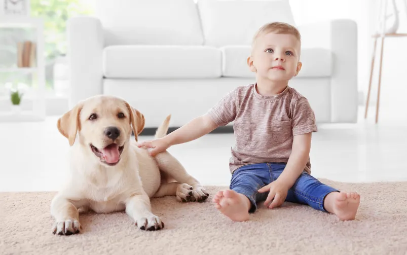 mały pies z dzieckiem