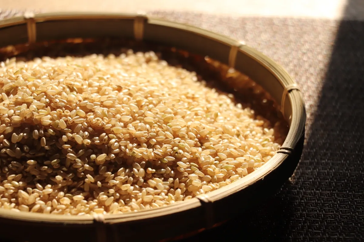 Ryż i waga ciała - mit czy fakt