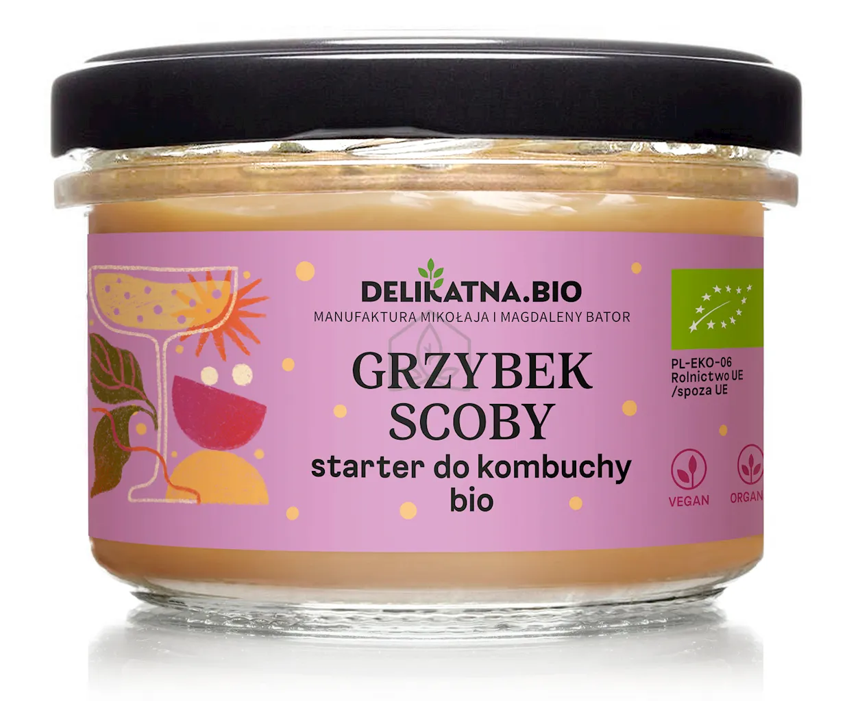 Zdrowy grzybek SCOBY w kombuchy