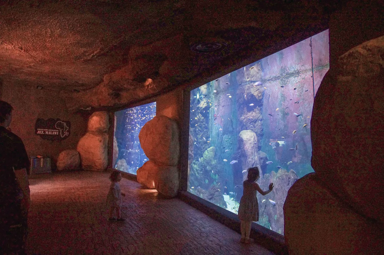 Afrykarium Wrocław wnętrze