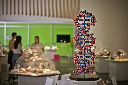 zorganizowane miejsce do nauki biologii