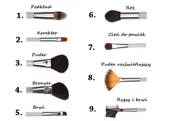 Podstawowe pędzle do makijażu dla początkujących
