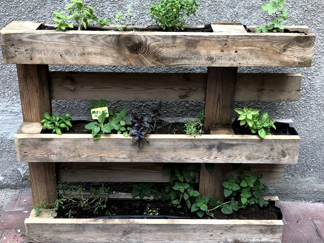 kwietnik z palet zioła warzywa