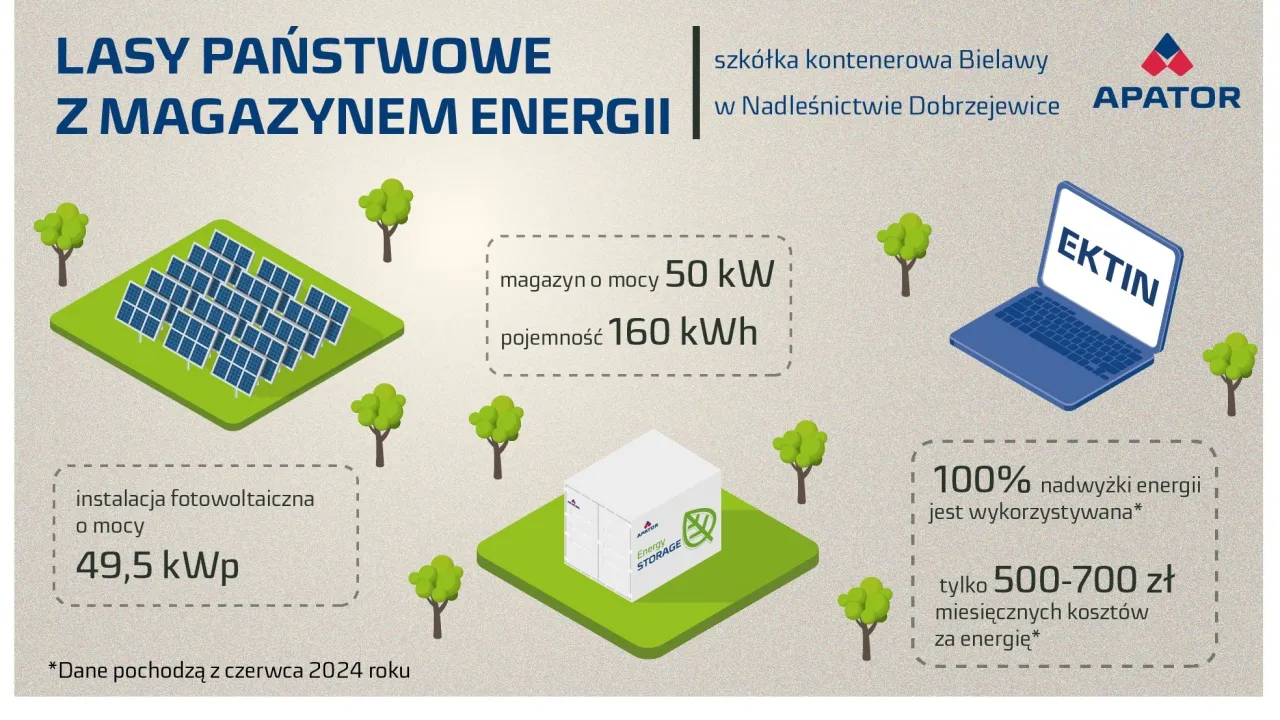 sposoby wykorzystania nadwyżki energii fotowoltaicznej infografika