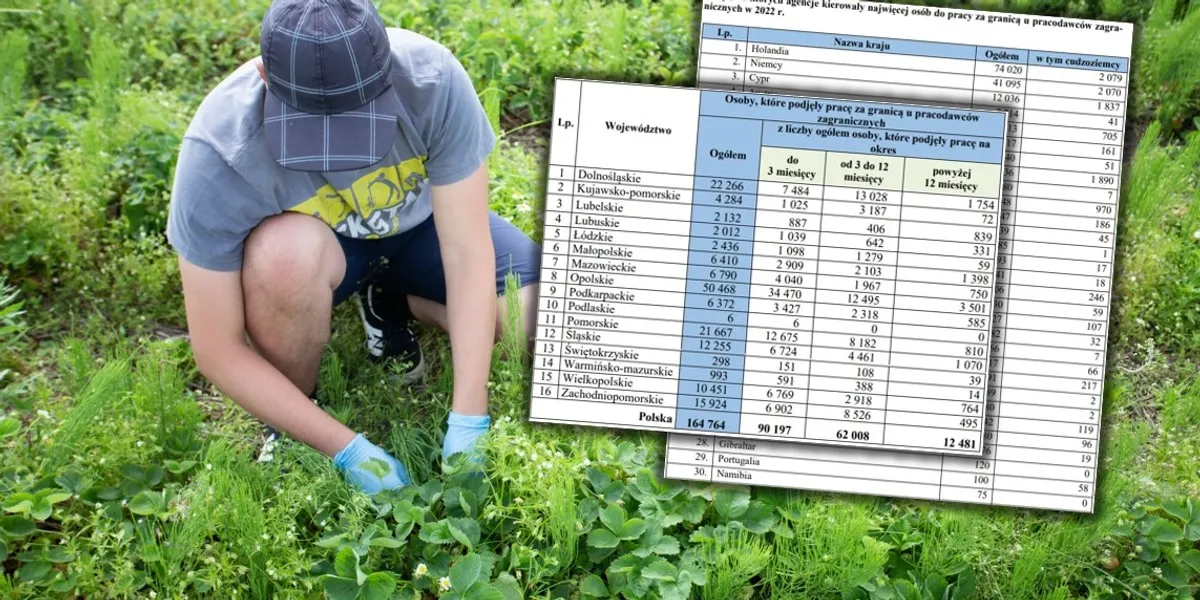 praca sezonowa za granicą kraje i branże