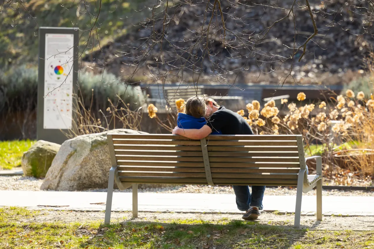 Syndrom Rebeki zazdrość retroaktywna