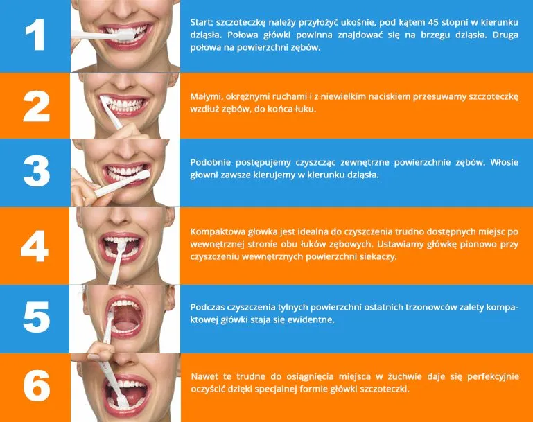 jak prawidłowo myć zęby szczoteczką soniczną infografika