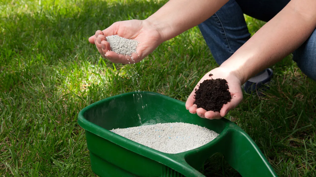 rodzaje nawoz&oacute;w do trawnika wiosną