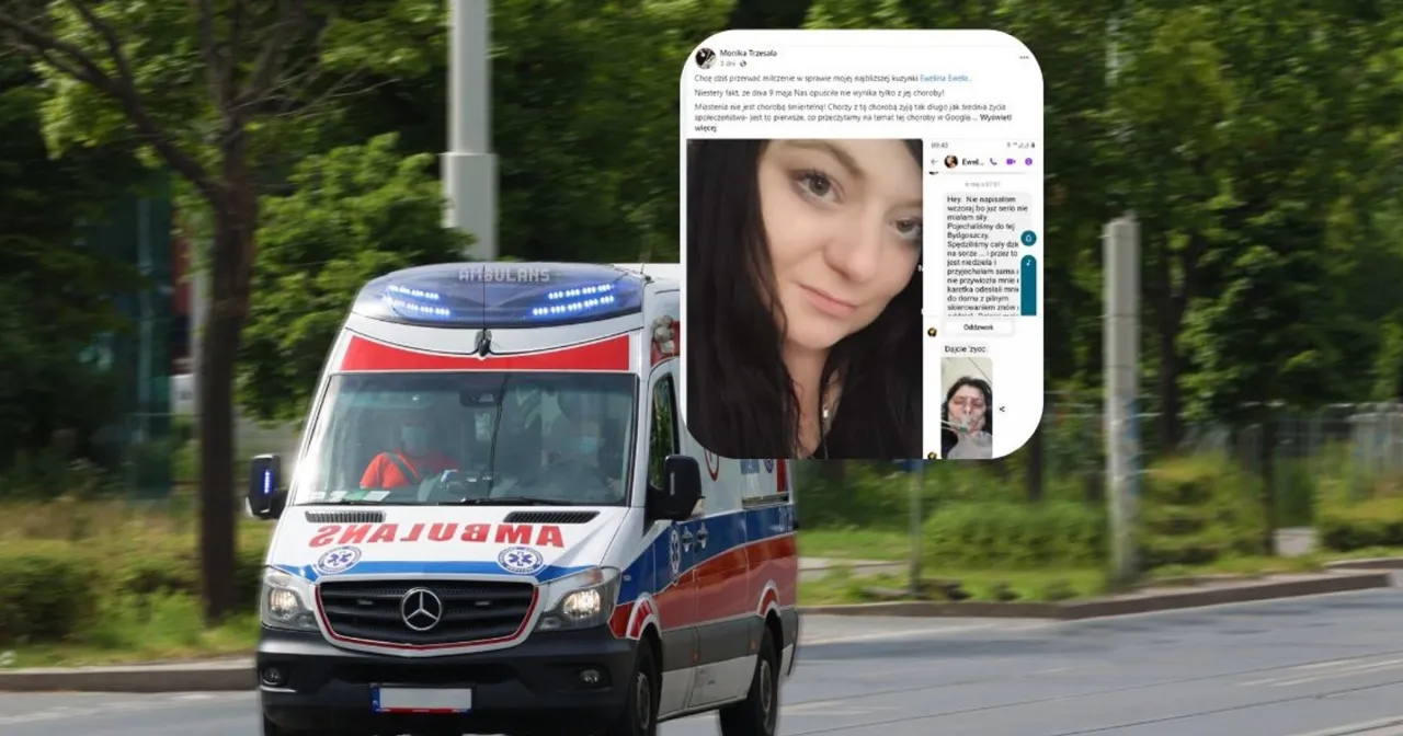 Wizyta weterynarz nagły przypadek koszty