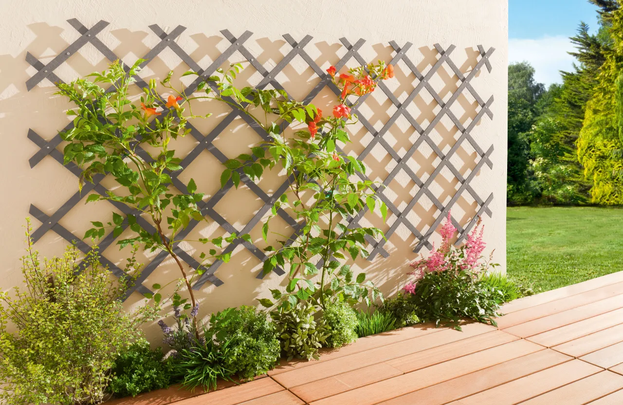 Kratka drewniana z roślinami pnącymi w altanie