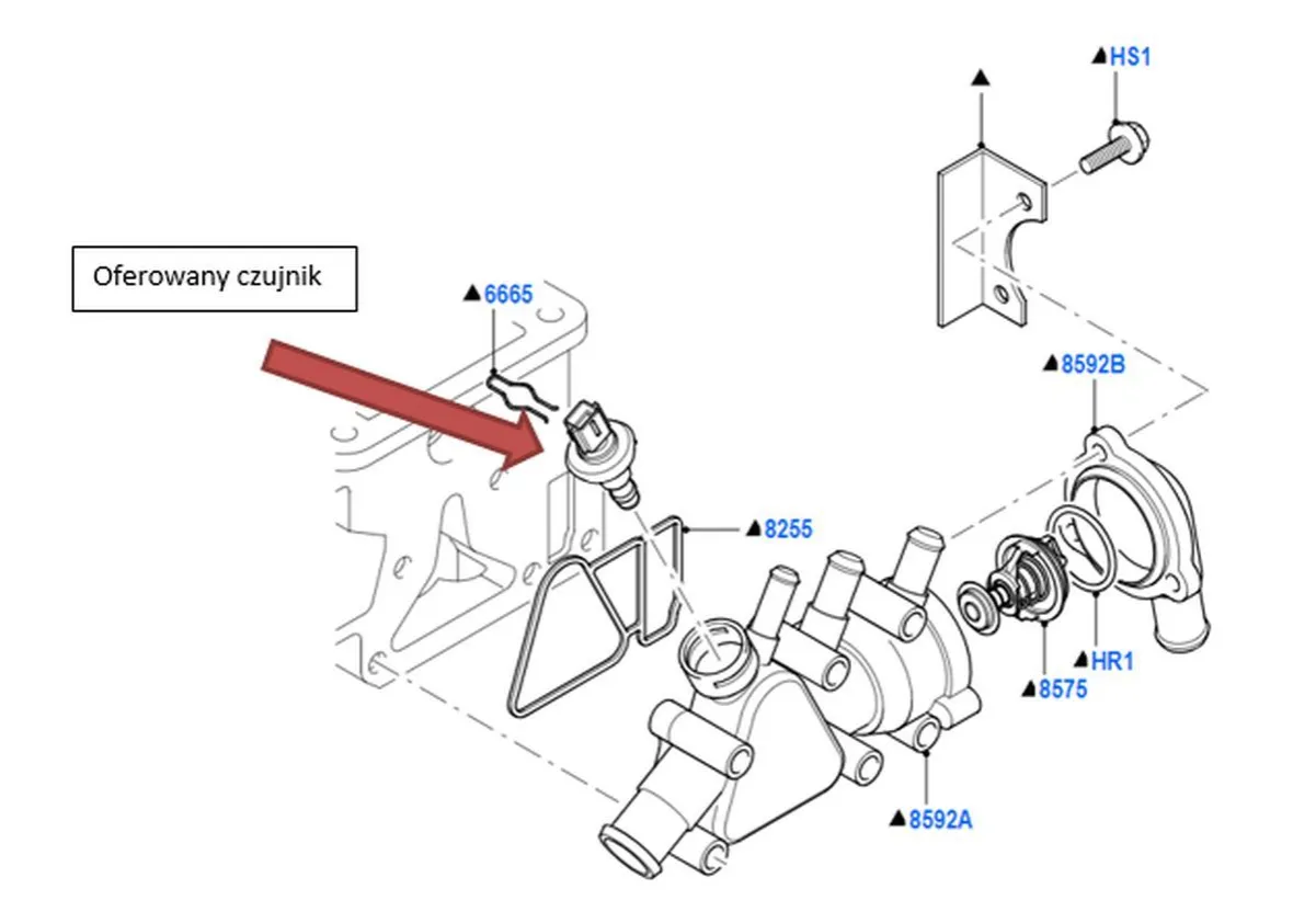 Schemat lokalizacji czujników temperatury płynu chłodzącego w popularnych samochodach