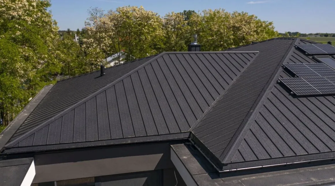 rodzaje dachów holandia