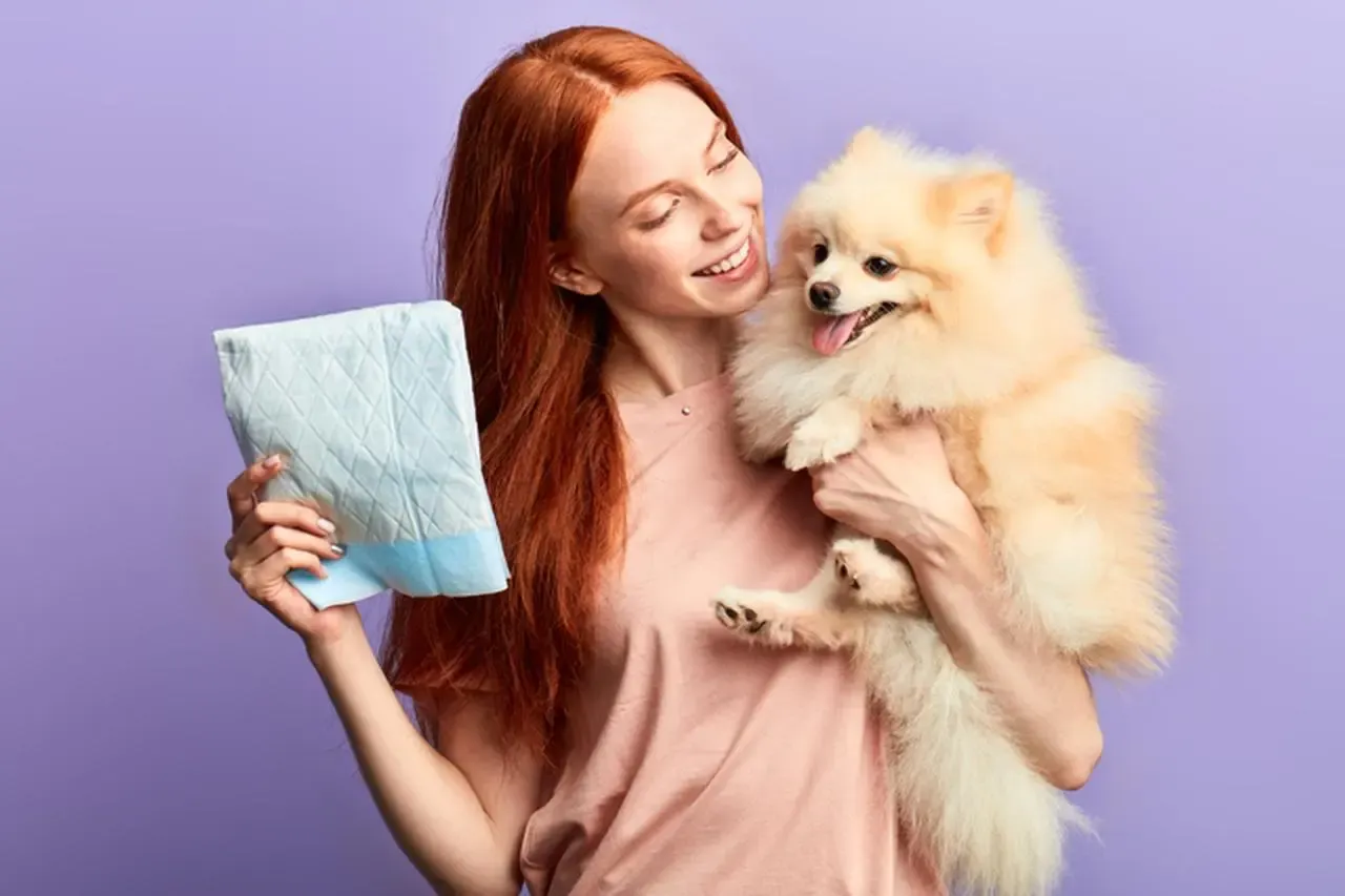 pies w pieluszce domowej