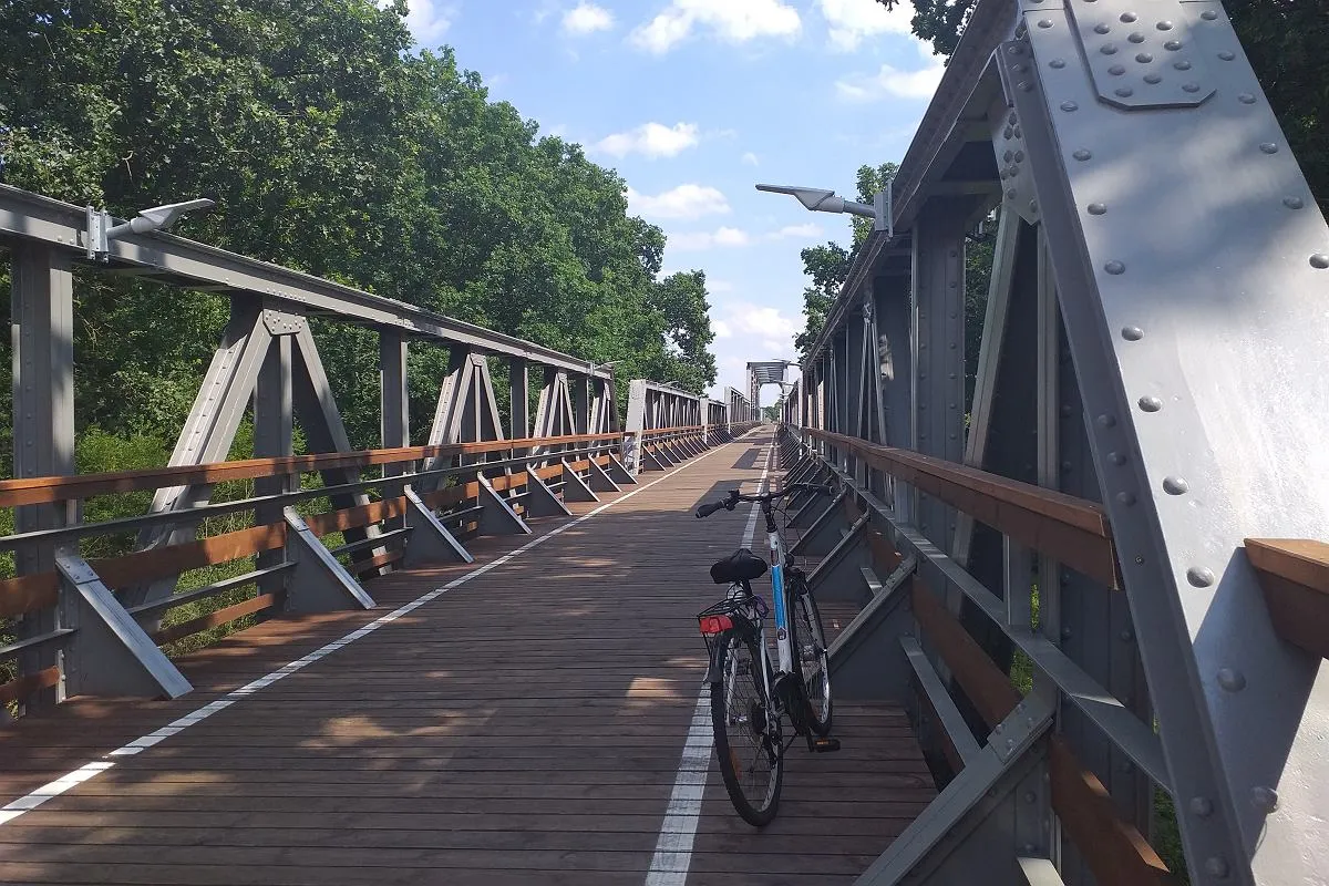 Rowerzysta na ścieżce rowerowej w Zielonej G&oacute;rze