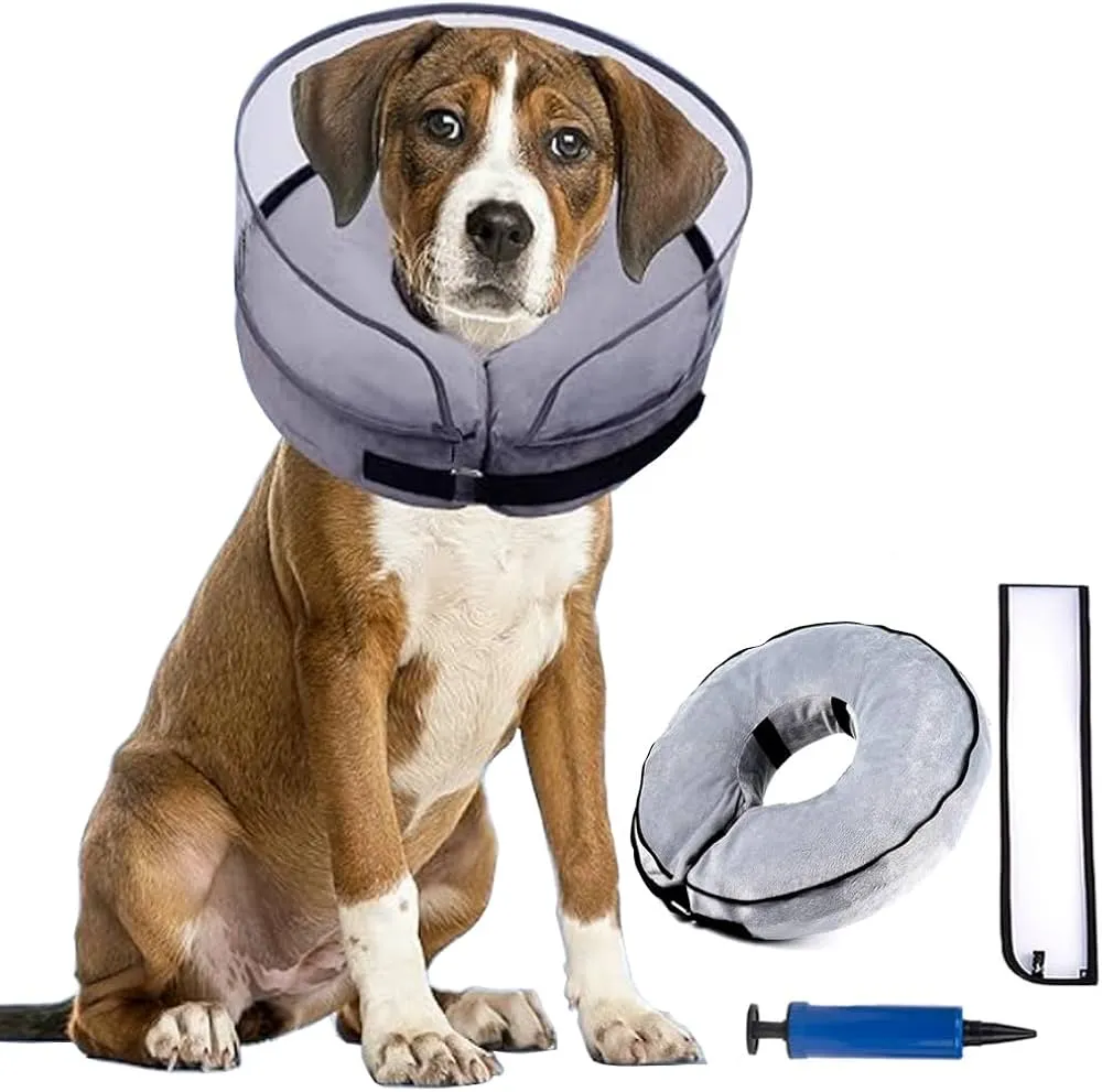 czynniki wpływające na cenę kołnierza dla psa