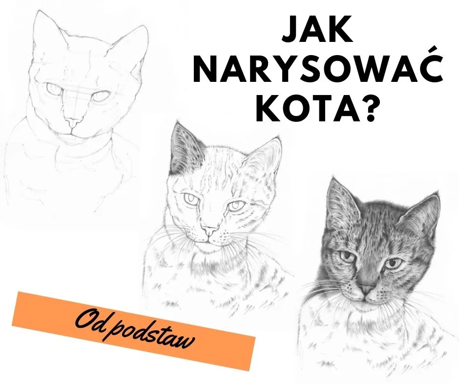 Zdjęcie Uszyj Kotka Krok po Kroku: Darmowy Wykrój i Prosty Poradnik