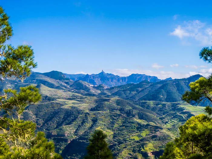 Gran Canaria Naturpark Tamadaba Wanderwege