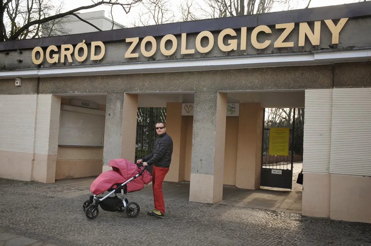 Stare Zoo Poznań wejście