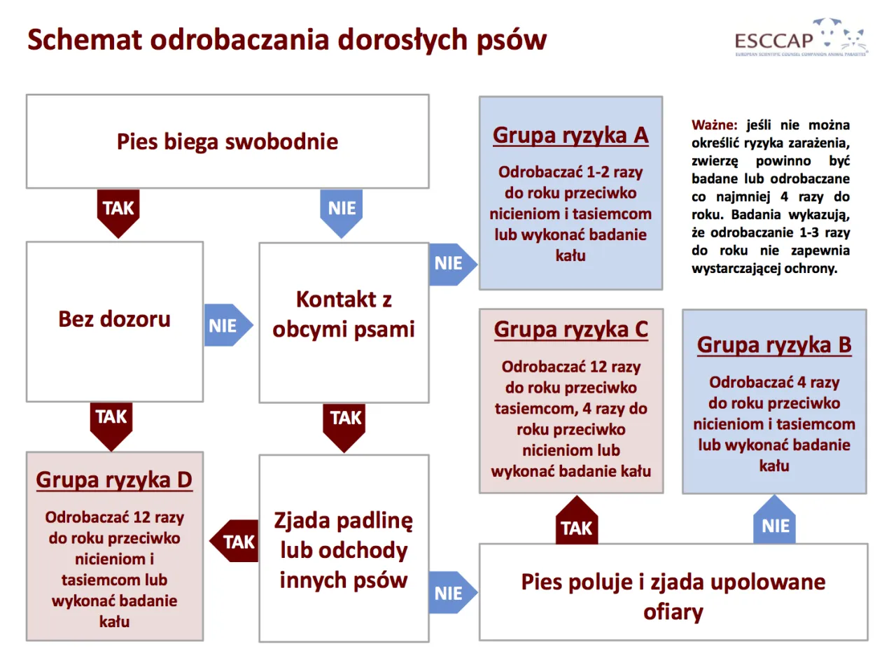 szczeniak odrobaczanie harmonogram