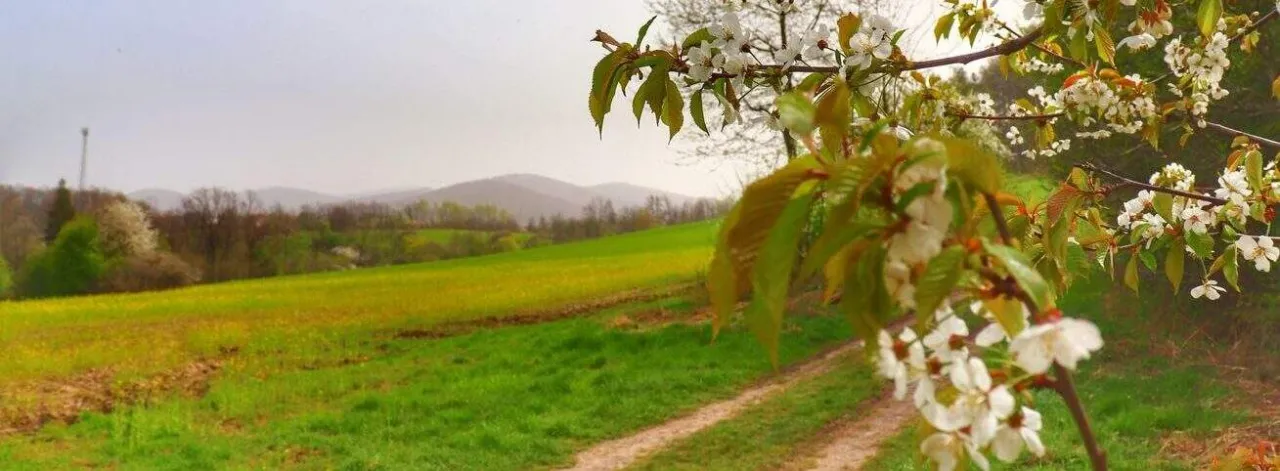 G&oacute;ra Bucze szlak