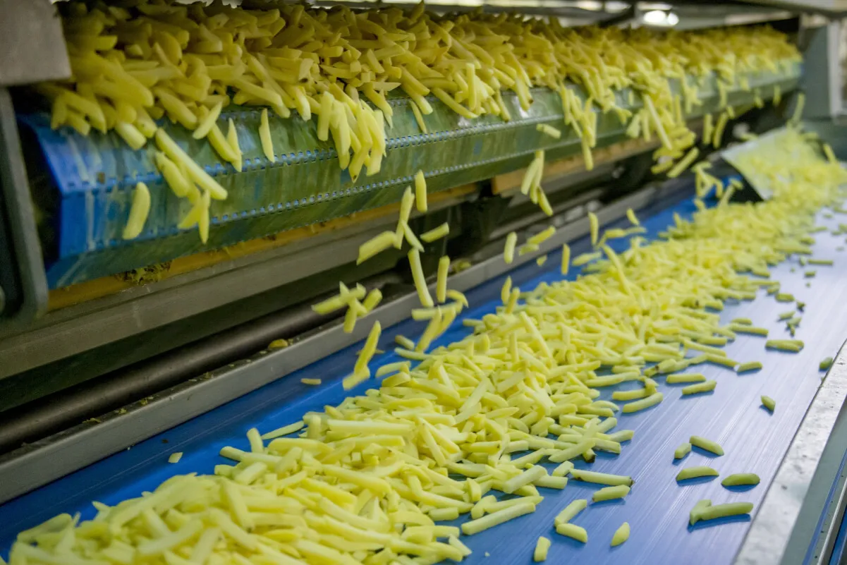 Etykieta mrożonych frytek składniki