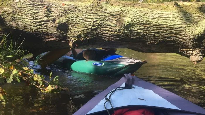 Rawka spływ kajakowy przeszkody zwalone drzewa