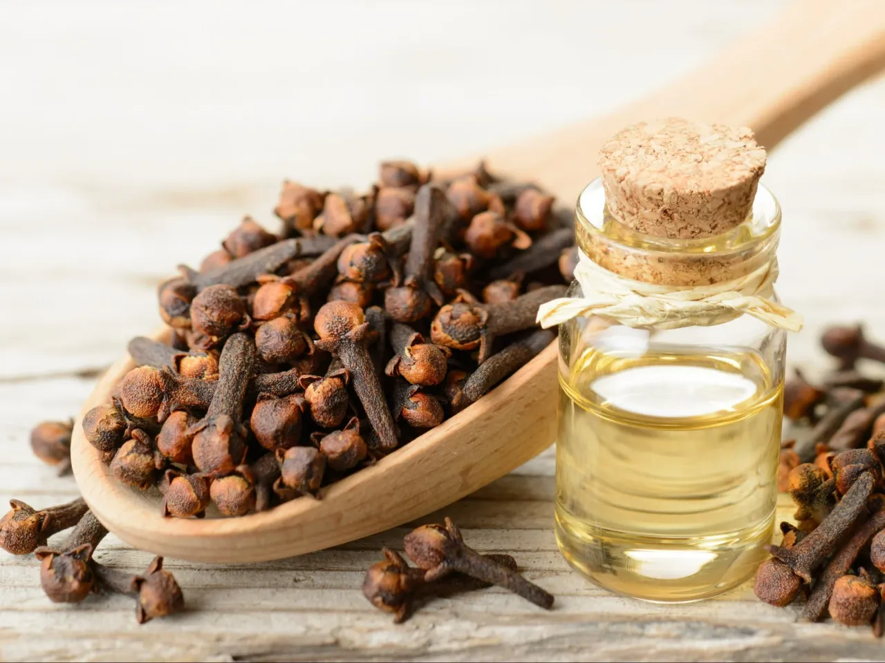 Suszone goździki na drewnianej łyżce i mała buteleczka z olejkiem. Idealne składniki, by dowiedzieć się, jak zrobić olejek goździkowy w domu.