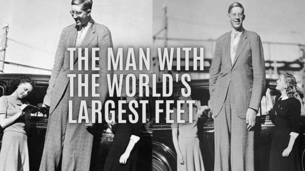 Największe buty świata Robert Wadlow por&oacute;wnanie rozmiar&oacute;w