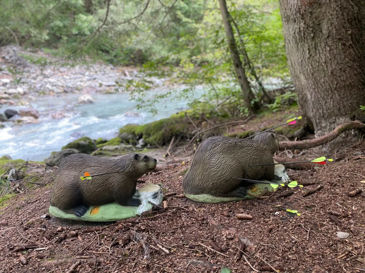Łucznik w lesie celujący do tarczy