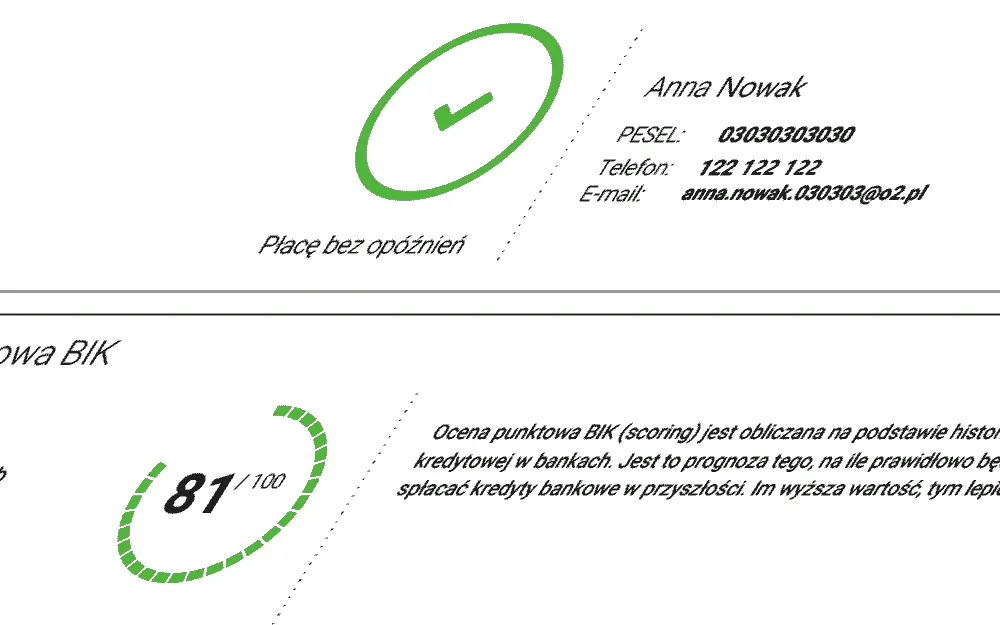 weryfikacja w BIK symboliczna grafika
