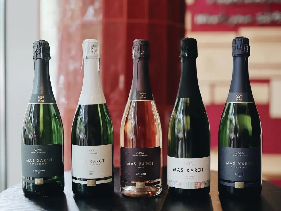 r&oacute;żne rodzaje win musujących prosecco cava szampan