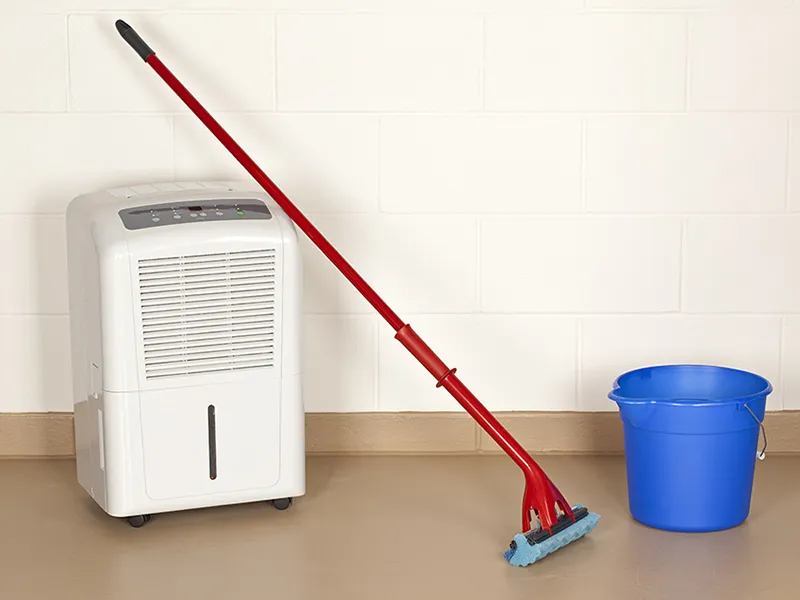 narzędzia do czyszczenia nawilżacza i rozłożone części