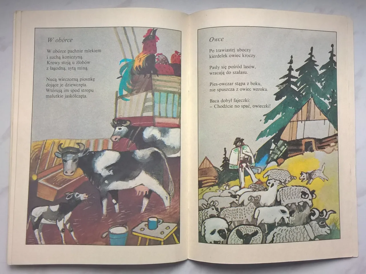 W oborze krowy, cielę i kogut. Na łące owce, baca i pies. Idzie niebo ciemną nocą wiersz.