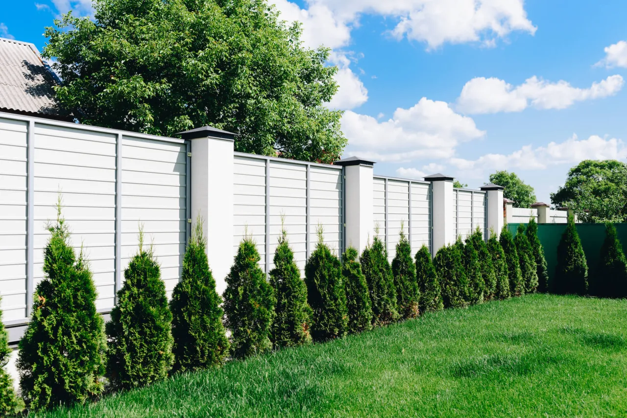 Drzewa w pasie drogowym przepisy