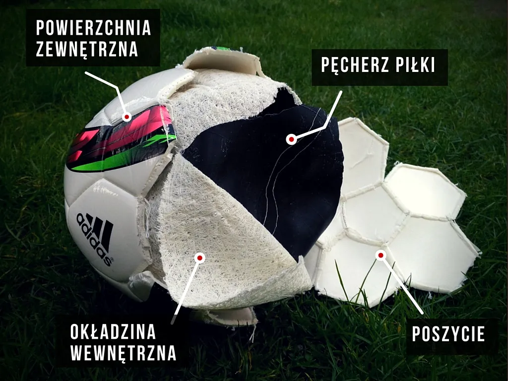 Budowa piłki nożnej przekrój