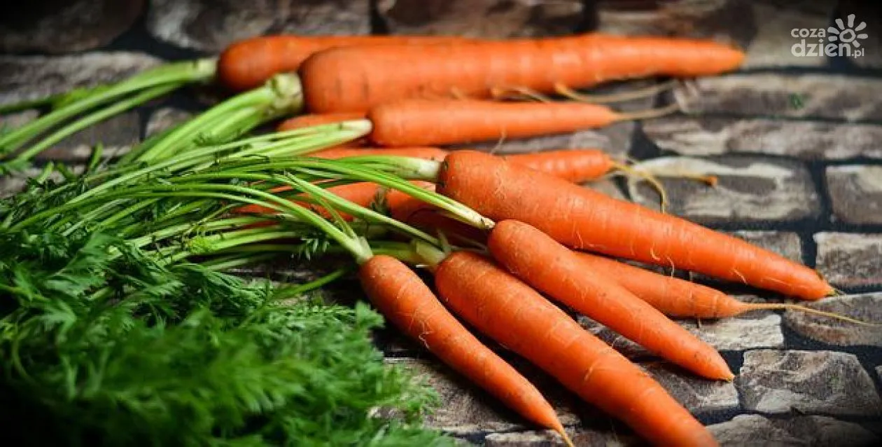 Zdjęcie Ile kcal ma marchewka? Poznaj wartość energetyczną i korzyści