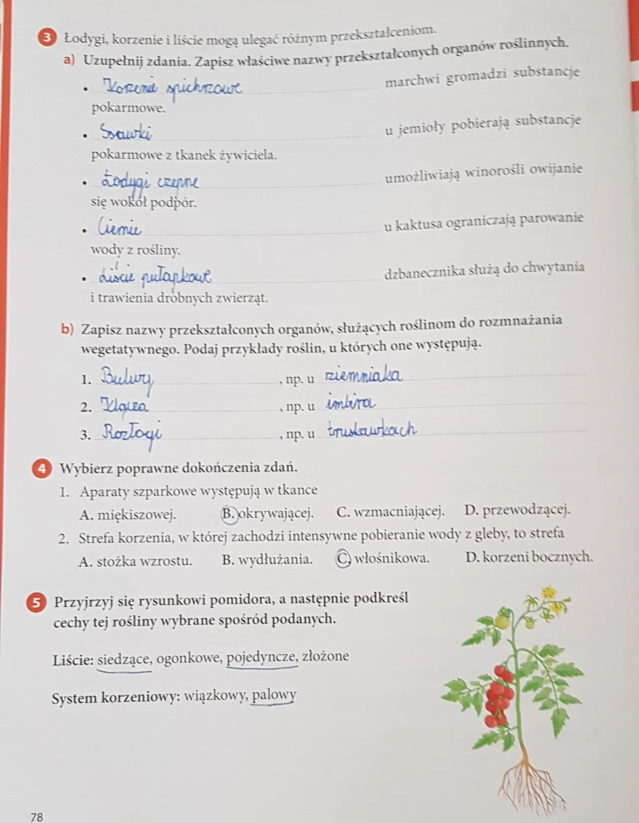 Zdjęcie Jak szybko nauczyć się na sprawdzian z biologii i uniknąć stresu