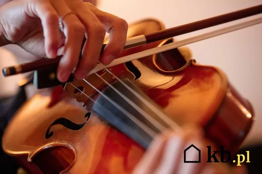 Zdjęcie Ile kosztują skrzypce? Poznaj ceny i wybierz najlepszy instrument