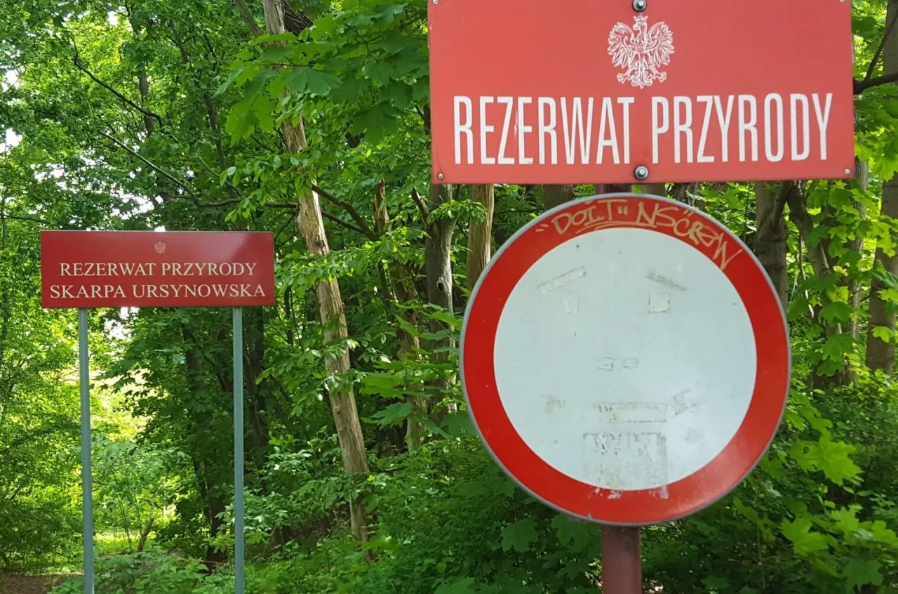Zdjęcie Rezerwat przyrody Skarpa Ursynowska - tajemnice i unikalne ekosystemy