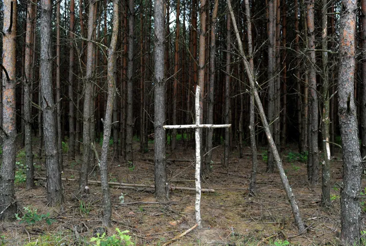 Zdjęcie Nowelizacja ustawy o IPN - co to oznacza dla Polaków i historii?