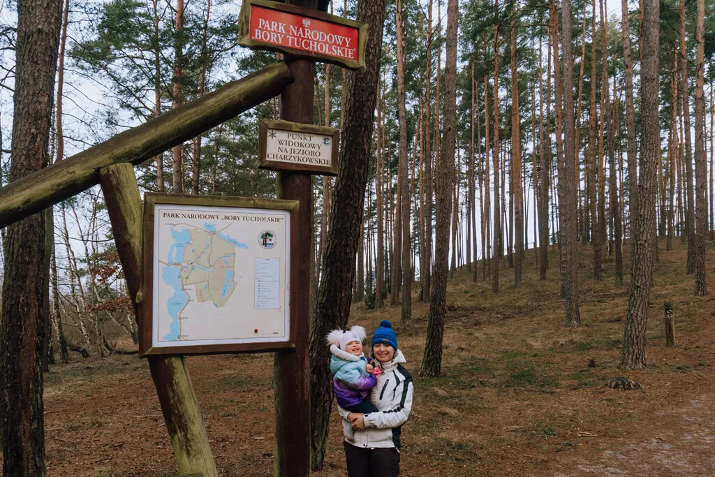 Zdjęcie Bory Tucholskie z dzieckiem: 10 niezapomnianych atrakcji rodzinnych