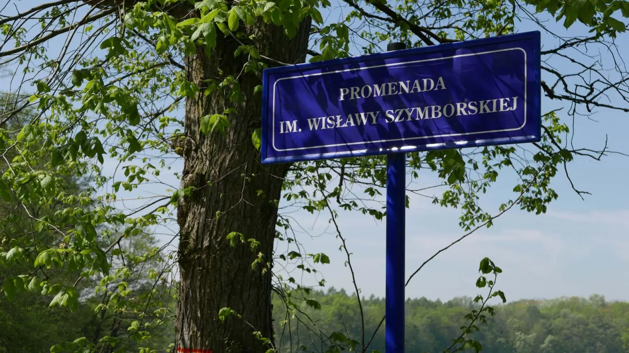 Zdjęcie Gdzie urodziła się Wisława Szymborska? Kontrowersje między Bninem a Kórnikiem