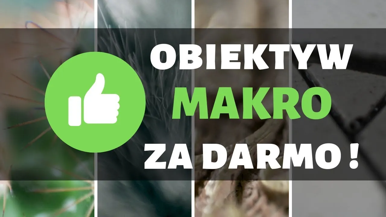 Zdjęcie Jak zrobić obiektyw makro i uzyskać niesamowite zdjęcia bez wydatków