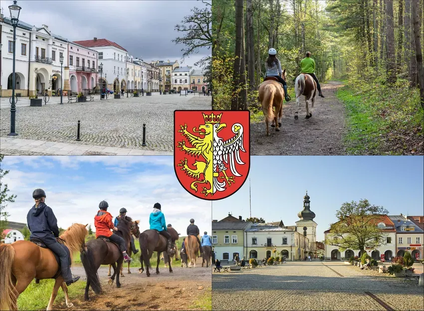 Zdjęcie Cennik stadnin koni w Krakowie – sprawdź ceny i oferty jazdy konnej