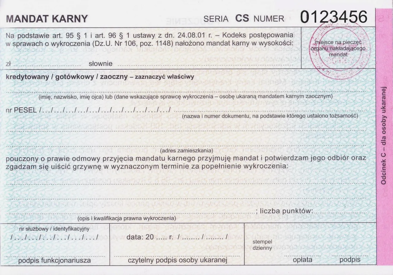 Zdjęcie Czy można zapłacić mandat przez internet? Proste sposoby na uniknięcie kłopotów